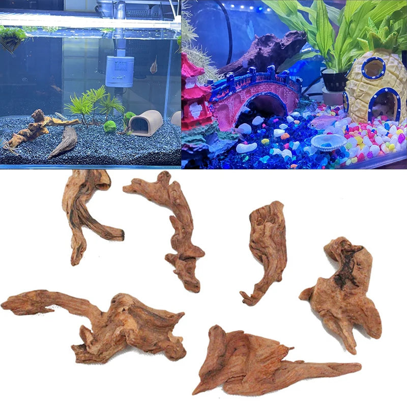 5/20/30CM driftwood home décor Coral wood Climber Reptile Lizard Cork Pet Decoration Drift Wood Fish Tank Driftwood Natural Tree