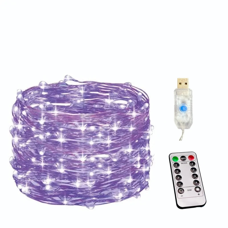 USB Led String Light 5M/10M/20M/30M 8Mode Remote Control Lights Fairy garlands Wedding Christmas Holiday Decor lamps New Year