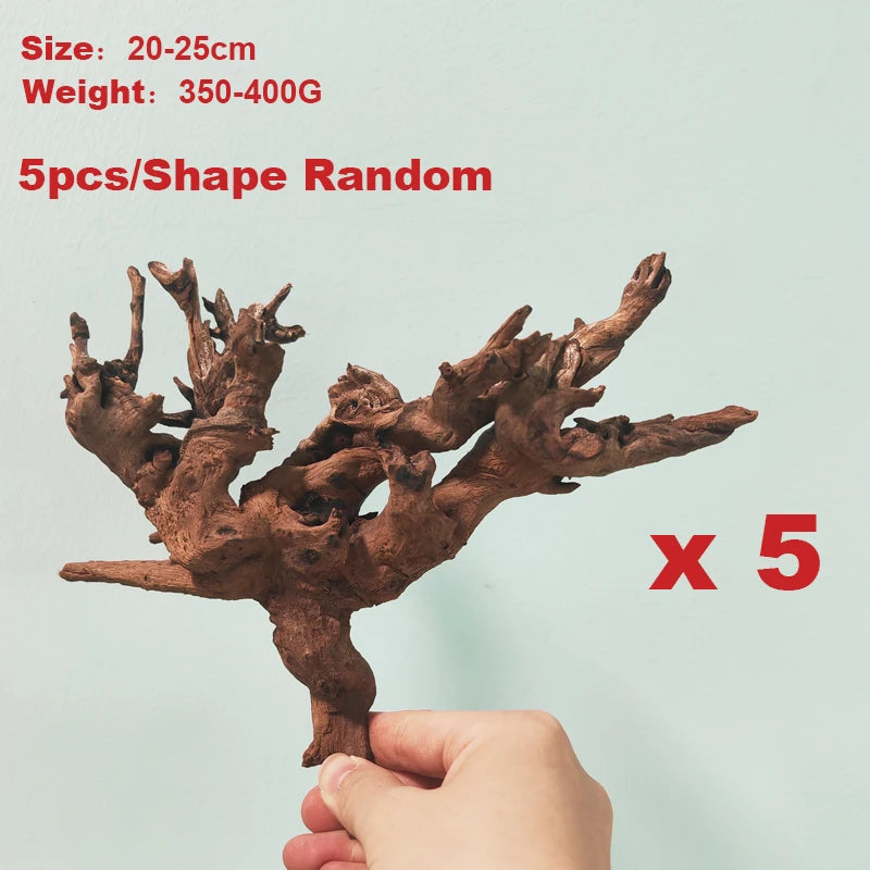 5/20/30CM driftwood home décor Coral wood Climber Reptile Lizard Cork Pet Decoration Drift Wood Fish Tank Driftwood Natural Tree